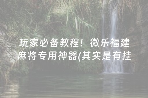 玩家必备教程！微乐福建麻将专用神器(其实是有挂的)