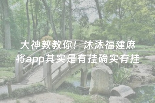 大神教教你！沐沐福建麻将app其实是有挂确实有挂(有挂技巧辅助器)