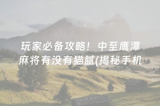 给玩家盘点十款“微乐湖南麻将怎么让系统给好牌”（怎么让系统给自己好牌)