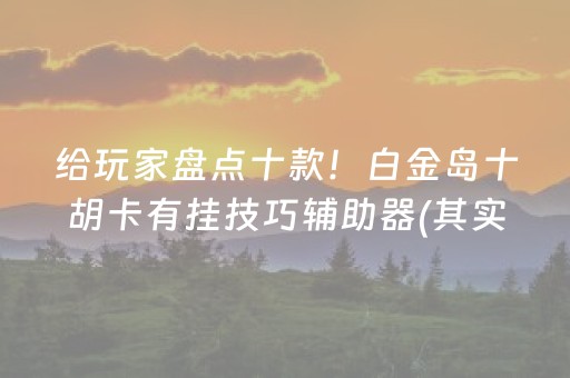 给玩家盘点十款！白金岛十胡卡有挂技巧辅助器(其实是有挂确实有挂)