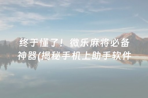 胜率设置方法“填大坑辅助器免费版”（有什么规律)