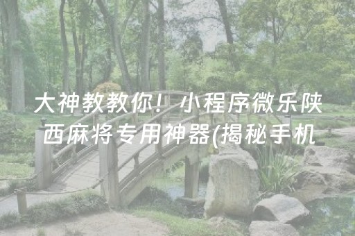 大神教教你！小程序微乐陕西麻将专用神器(揭秘手机上自建房怎么赢)