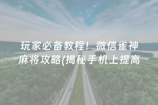 玩家必备教程！微信雀神麻将攻略(揭秘手机上提高赢的概率)