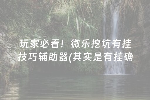 玩家必看！微乐挖坑有挂技巧辅助器(其实是有挂确实有挂)