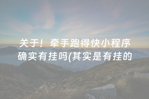 安装程序教程“微乐陕西挖坑助赢神器”（透明器教程)