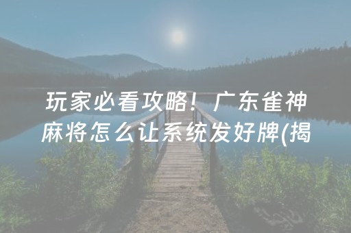 必备教程“小程序打麻将有插件吗”（怎么能让牌好一点)