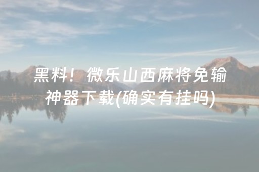 关于“微乐湖南麻将怎么让系统发好牌”（软挂神器)