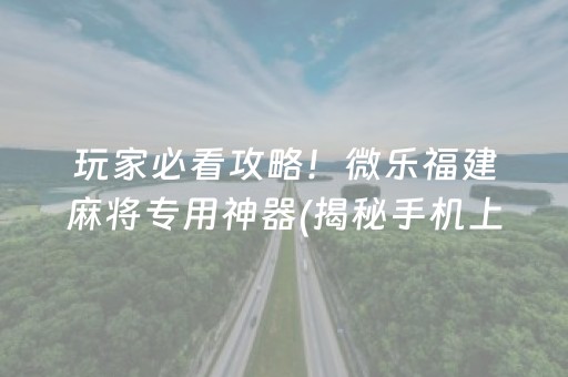 玩家必看攻略！微乐福建麻将专用神器(揭秘手机上提高赢的概率)