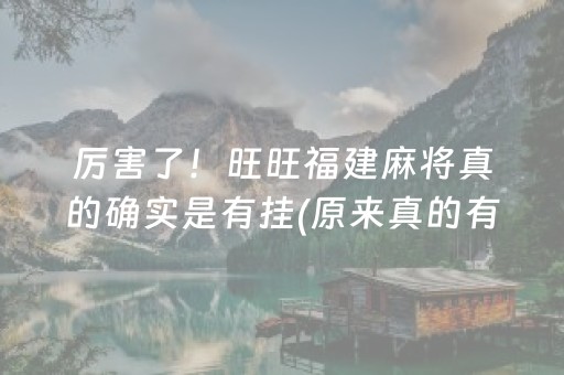 厉害了！旺旺福建麻将真的确实是有挂(原来真的有挂)