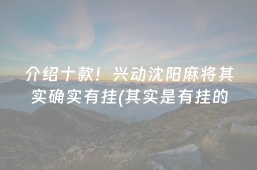 介绍十款！兴动沈阳麻将其实确实有挂(其实是有挂的)