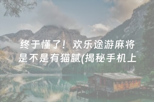 终于懂了！欢乐途游麻将是不是有猫腻(揭秘手机上提高胜率)