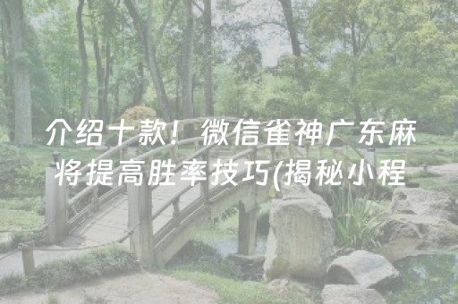 介绍十款！微信雀神广东麻将提高胜率技巧(揭秘小程序输赢规律)