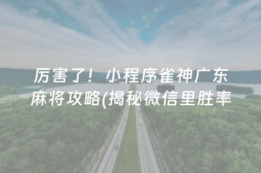 厉害了！小程序雀神广东麻将攻略(揭秘微信里胜率到哪调)