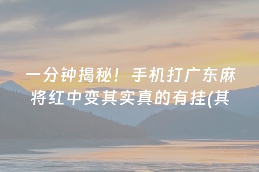 玩家必看攻略“微乐锄大地插件购买”（怎么能让牌好一点)