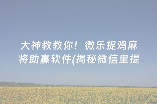 介绍十款“微乐填大坑一直输”（小程序辅助软件)