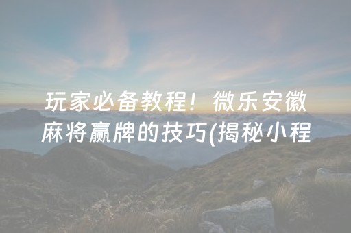 玩家必备教程！微乐安徽麻将赢牌的技巧(揭秘小程序助赢软件)