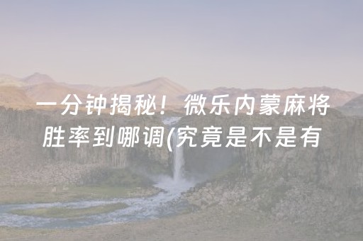 安装程序教程“微乐陕西麻将专用神器”（究竟是不是有挂)