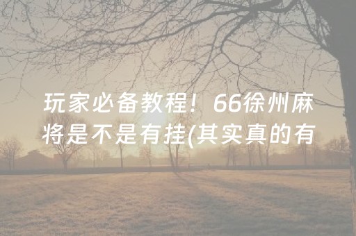 玩家必备教程！66徐州麻将是不是有挂(其实真的有挂)