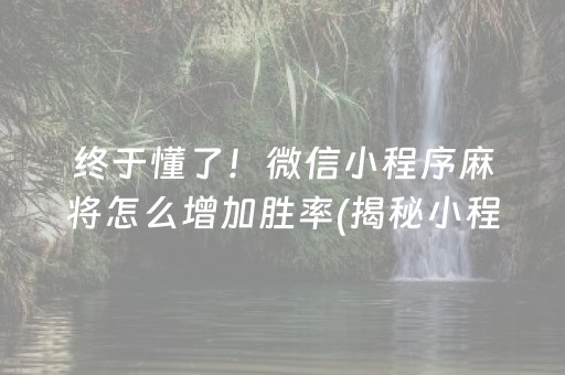 终于懂了！微信小程序麻将怎么增加胜率(揭秘小程序攻略插件)