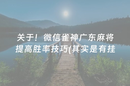 关于！微信雀神广东麻将提高胜率技巧(其实是有挂确实有挂)