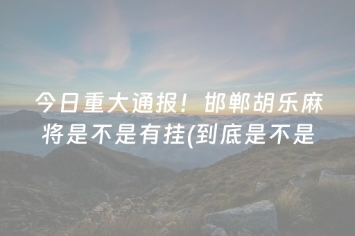 今日重大通报！中至乐平麻将小程序插件(揭秘微信里助手软件)