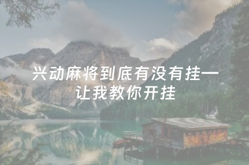 兴动麻将到底有没有挂—让我教你开挂（兴动休闲麻将可以开挂吗）