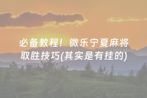 必备教程！微乐宁夏麻将取胜技巧(其实是有挂的)