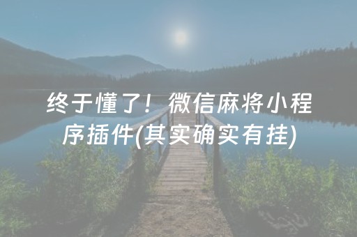 终于懂了！微信麻将小程序插件(其实确实有挂)