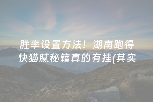 胜率设置方法！湖南跑得快猫腻秘籍真的有挂(其实是有挂确实有挂)