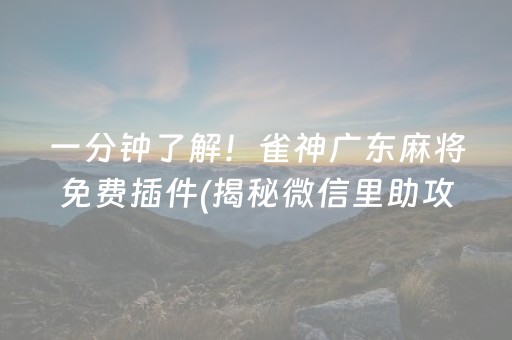 一分钟了解！雀神广东麻将免费插件(揭秘微信里助攻神器)