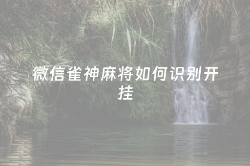 微信雀神麻将如何识别开挂（微信雀神麻将开挂方法）