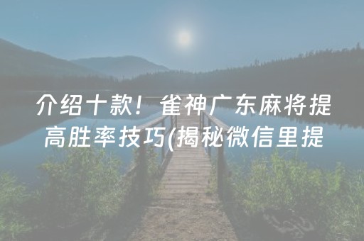 介绍十款！雀神广东麻将提高胜率技巧(揭秘微信里提高胜率)