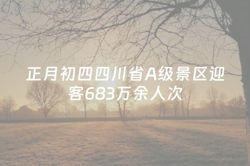 正月初四四川省A级景区迎客683万余人次