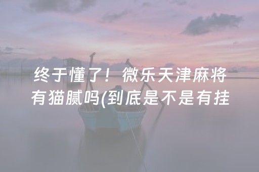 终于懂了！微乐天津麻将有猫腻吗(到底是不是有挂)