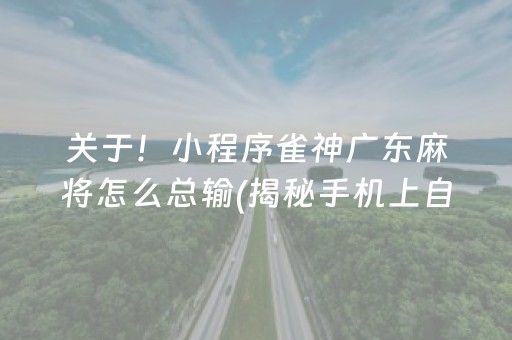 关于！小程序雀神广东麻将怎么总输(揭秘手机上自建房怎么赢)