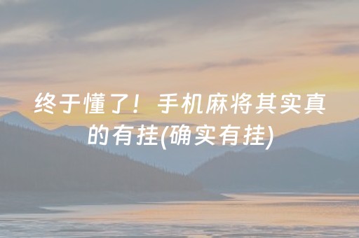 终于懂了！手机麻将其实真的有挂(确实有挂)