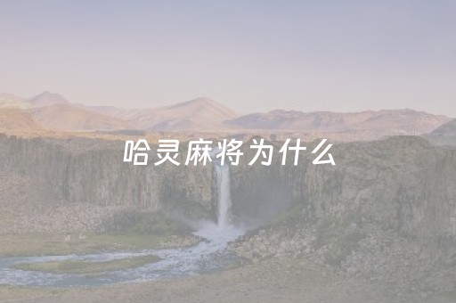 哈灵麻将为什么（哈灵麻将为什么登不上）