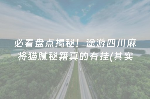 必看盘点揭秘！途游四川麻将猫腻秘籍真的有挂(其实真的有挂)