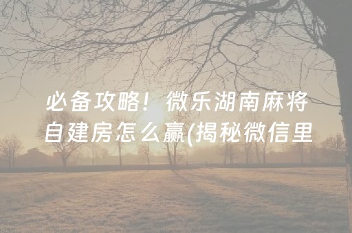 必备攻略！微乐湖南麻将自建房怎么赢(揭秘微信里插件免费)