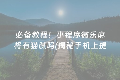 必备教程！小程序微乐麻将有猫腻吗(揭秘手机上提高胜率)