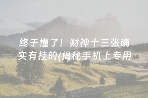 终于懂了！财神十三张确实有挂的(揭秘手机上专用神器)