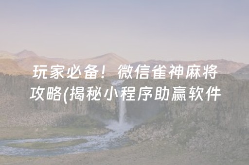 玩家必备！微信雀神麻将攻略(揭秘小程序助赢软件)