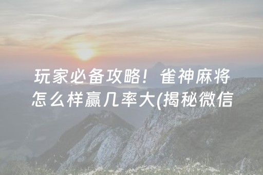 玩家必备攻略！雀神麻将怎么样赢几率大(揭秘微信里助赢神器购买)