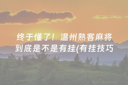 终于懂了！温州熟客麻将到底是不是有挂(有挂技巧辅助器)