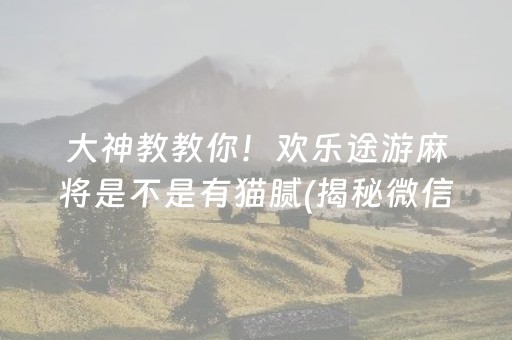 大神教教你！欢乐途游麻将是不是有猫腻(揭秘微信里自建房怎么赢)