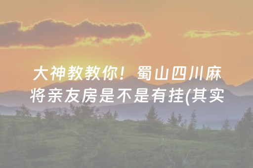 大神教教你！蜀山四川麻将亲友房是不是有挂(其实确实有挂)