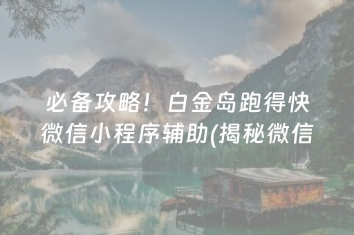 必备攻略！白金岛跑得快微信小程序辅助(揭秘微信里助赢神器购买)