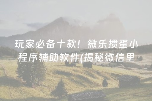 玩家必备十款！微乐掼蛋小程序辅助软件(揭秘微信里确实有猫腻)