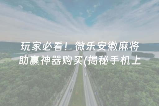 玩家必看！微乐安徽麻将助赢神器购买(揭秘手机上赢牌的技巧)