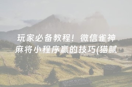 玩家必备教程！微信雀神麻将小程序赢的技巧(猫腻秘籍真的有挂)